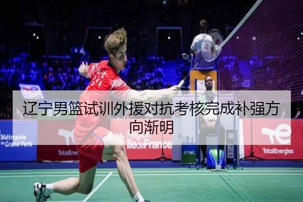 辽宁男篮试训外援对抗考核完成补强方向渐明